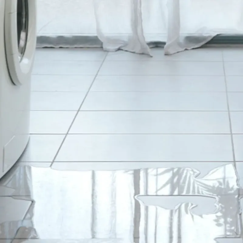 Appliance Leak Cleanup in Rochester, WI