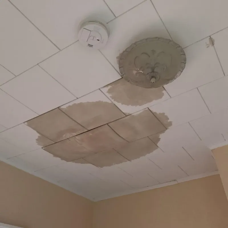 Ceiling Water Damage Repair in Rochester, WI