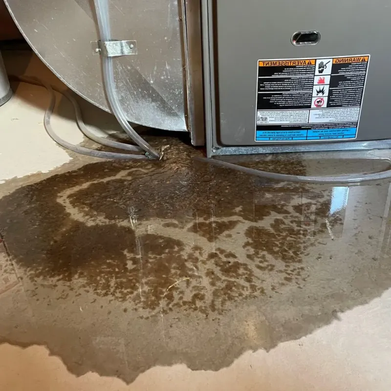 Pipe Burst and Leak Restoration in Rochester, WI